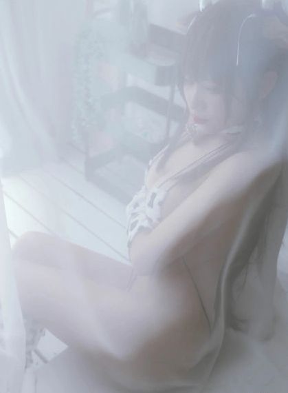 交换性伴侣