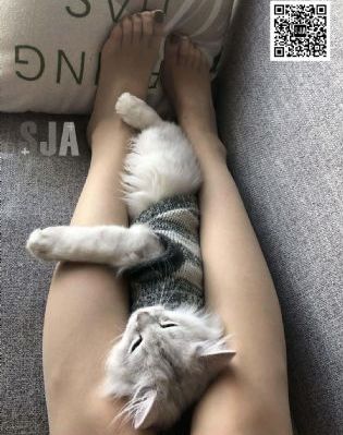 势均力敌的我们