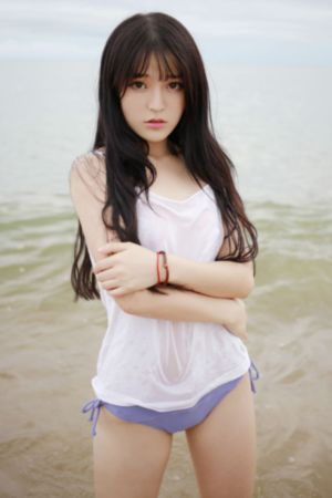 黑狐电视剧
